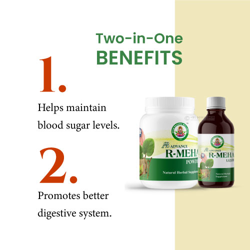 Ayur Brahma Advance R Meha Powder & Liquid Combo - Image 2